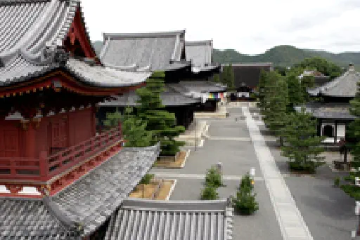 大本山 妙心寺の写真
