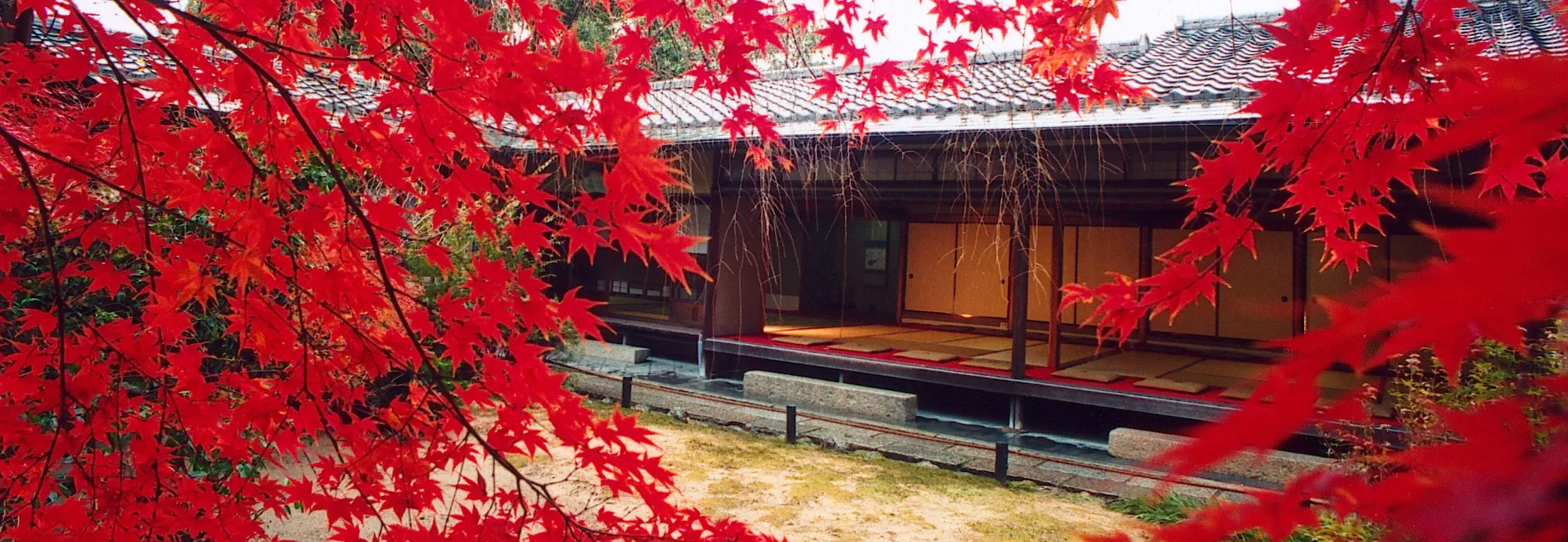 施設紹介の写真