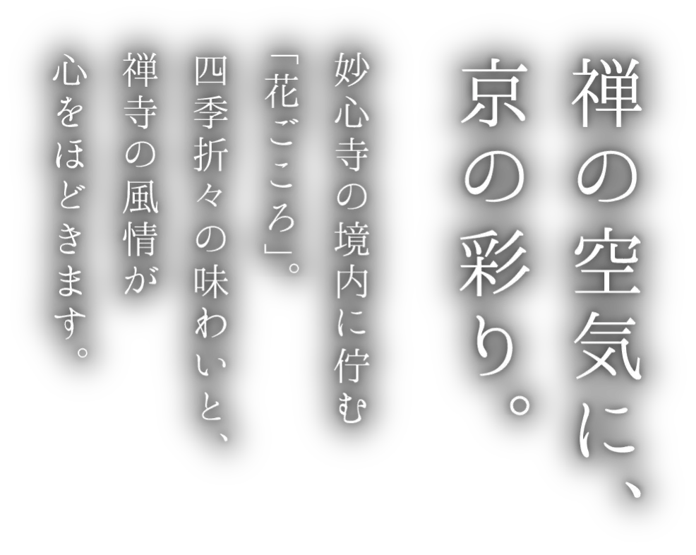 禅の空気に、京の彩り。妙心寺の境内に佇む「花ごころ」。四季折々の味わいと、禅寺の風情が心をほどきます。