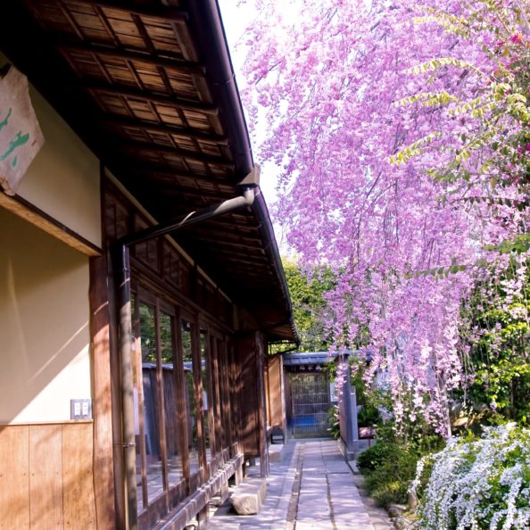 プラン 公式 京料理 花ごころ 妙心寺派花園会館